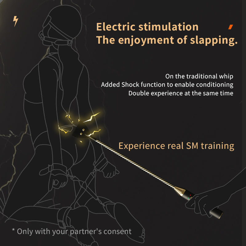BDSM Punishment Set - Estim Whipping Adult Toys - Domlust